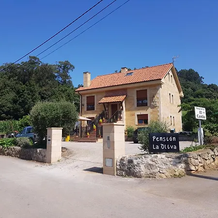 La Oliva אורחן